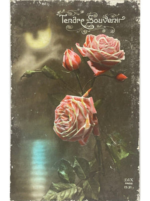 Carte postale ancienne Tendre Souvenir – Roses et lune – DIX Paris 1531
