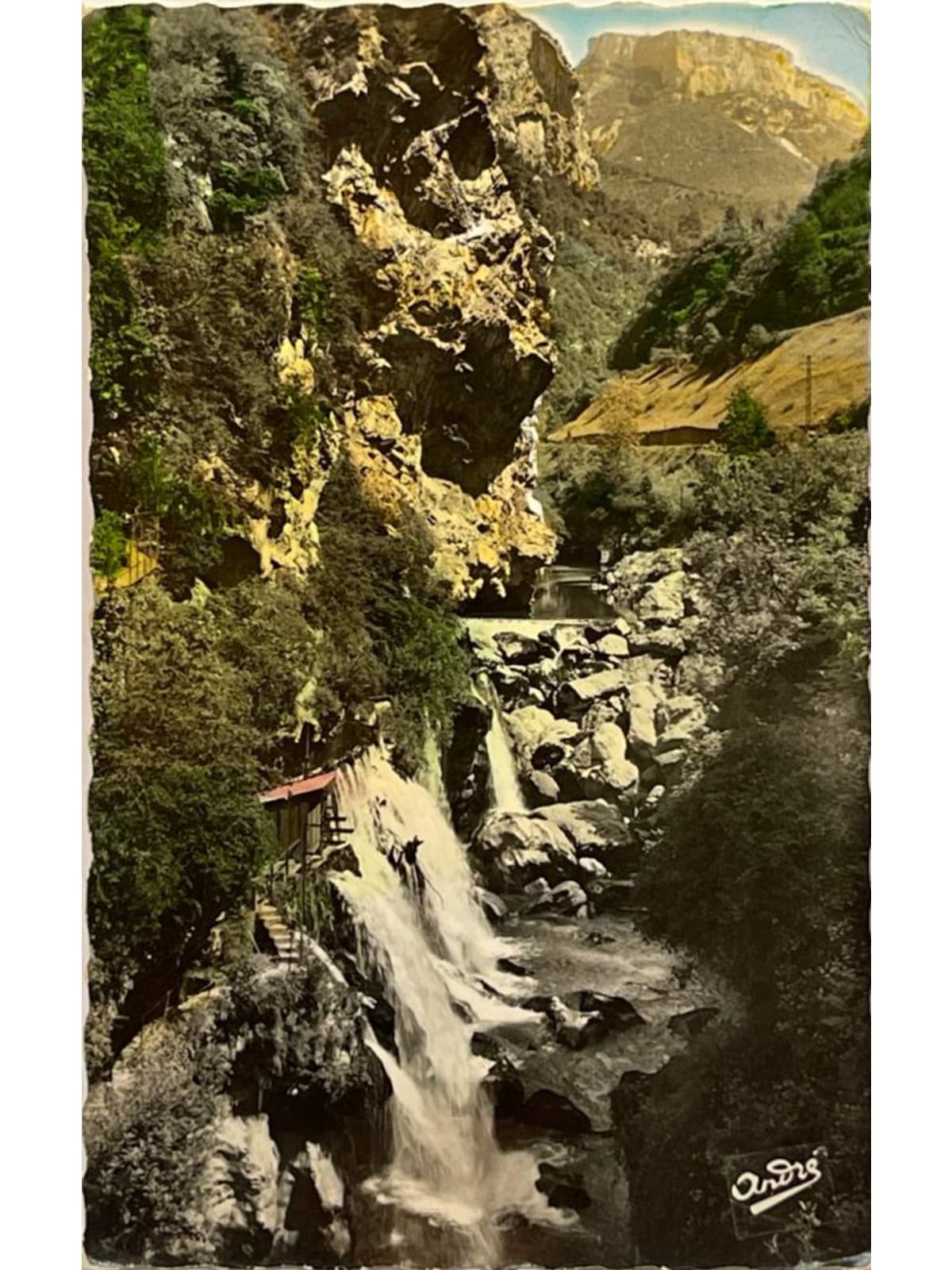Recto de la carte postale