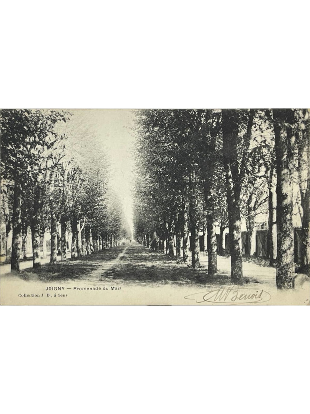 Recto de la carte postale