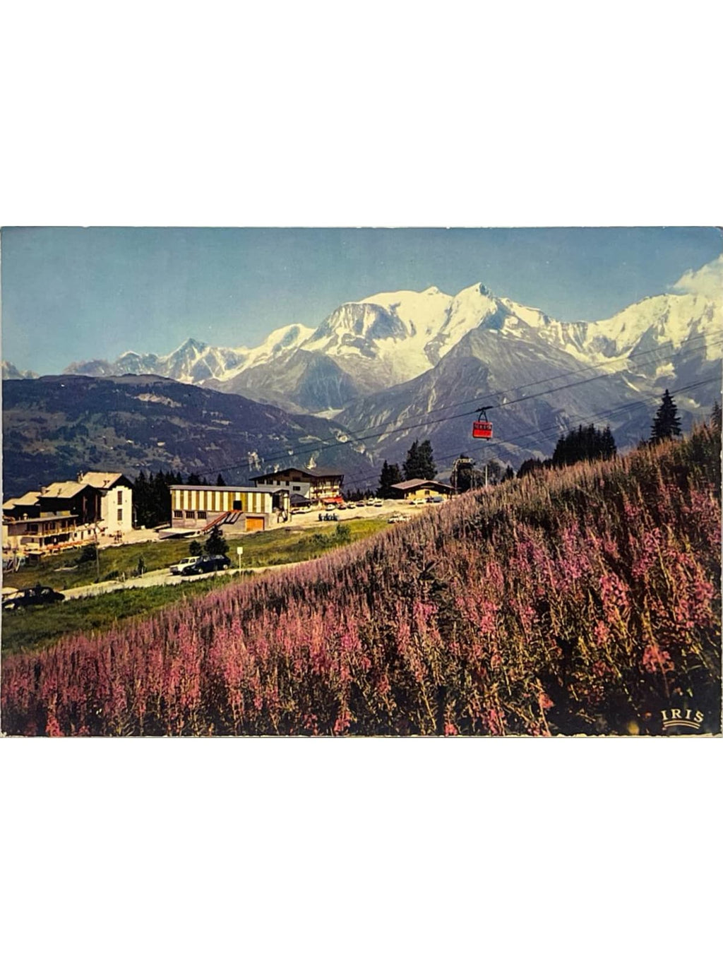 Recto de la carte postale