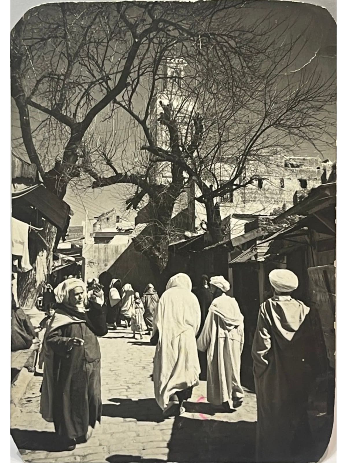 Recto de la carte postale
