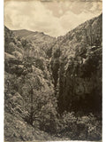 Recto de la carte postale