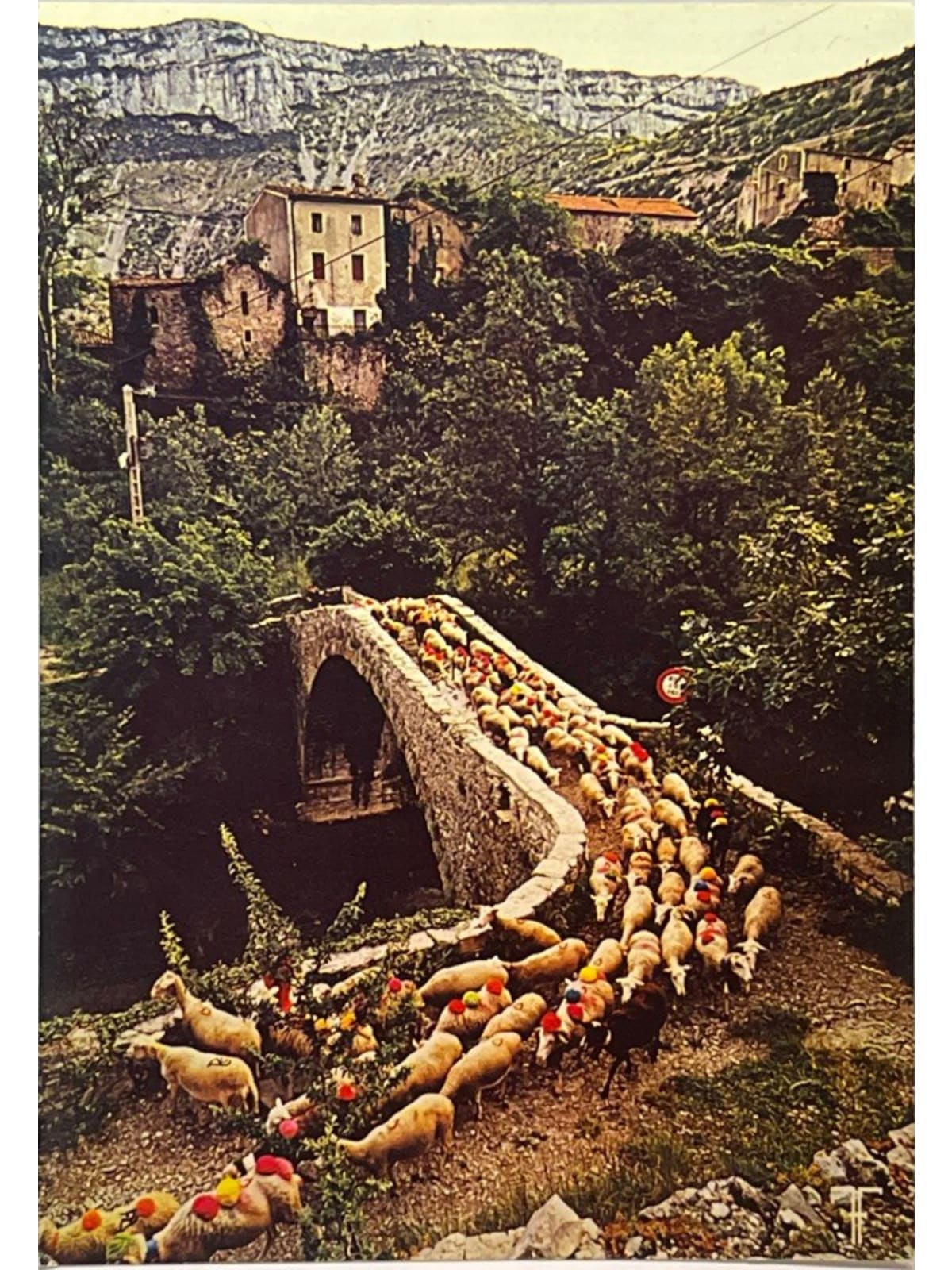 Recto de la carte postale