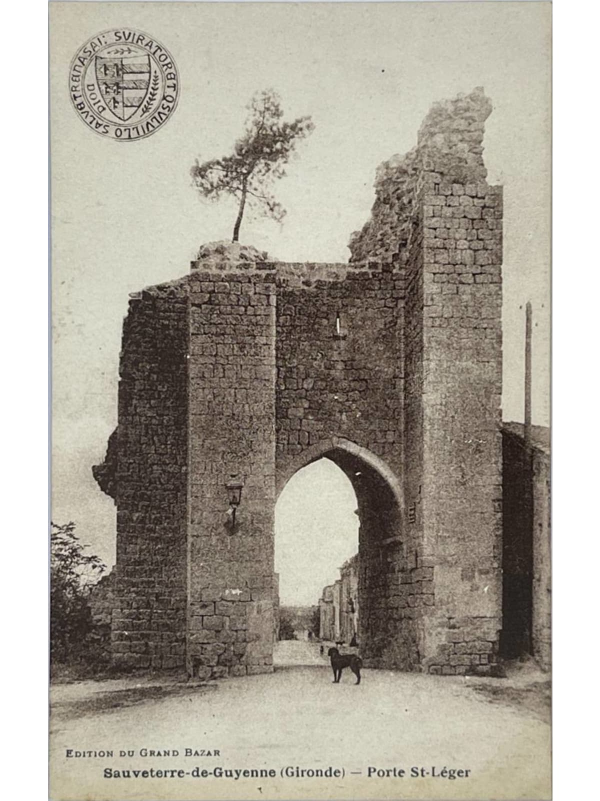 Recto de la carte postale