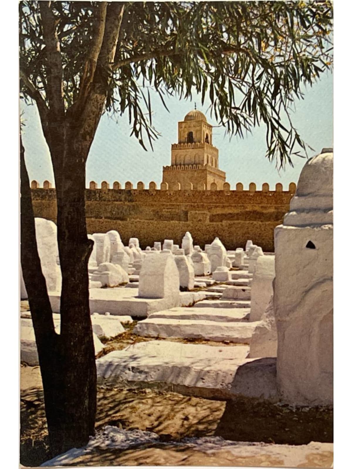 Recto de la carte postale