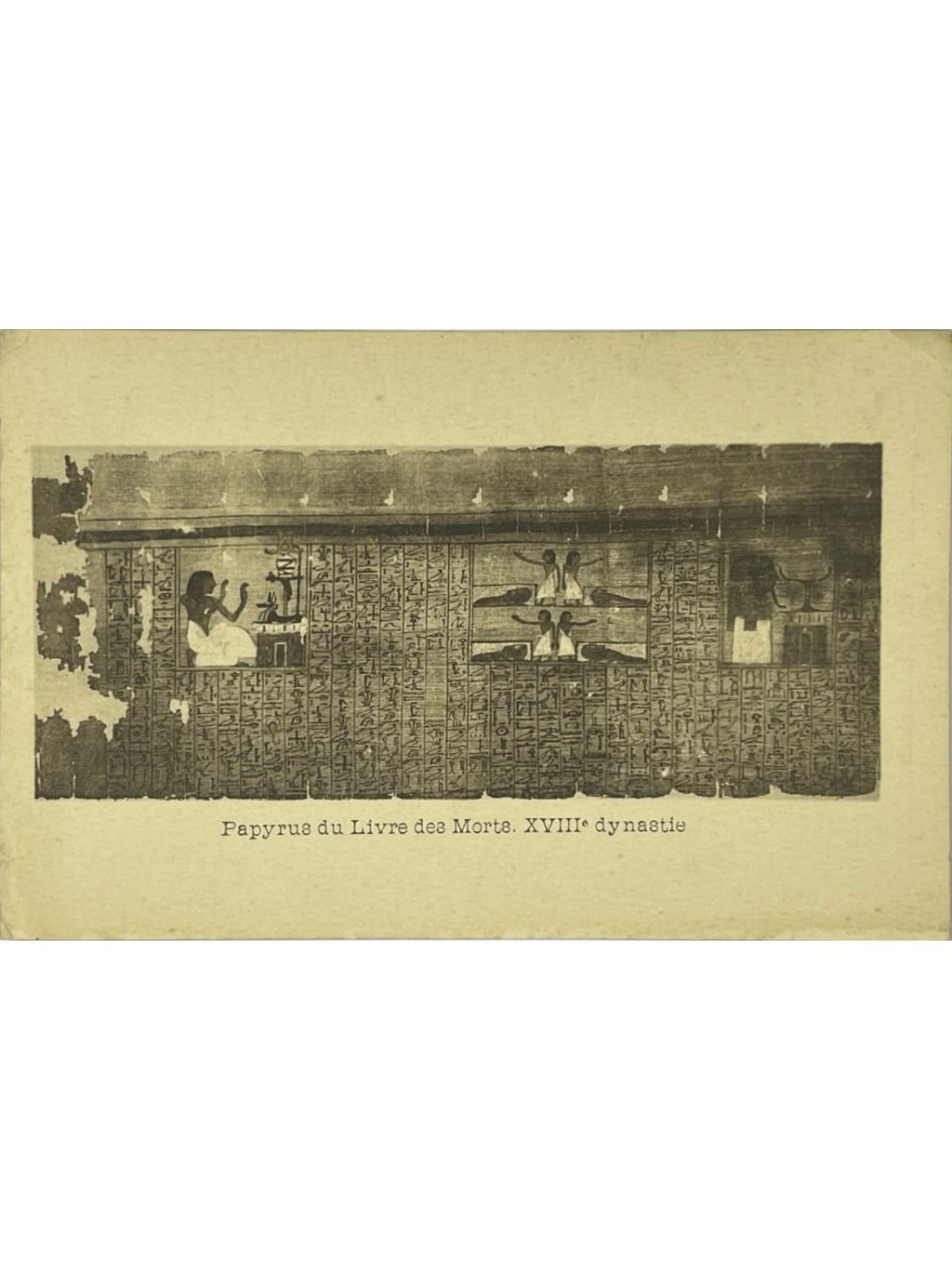 Recto de la carte postale