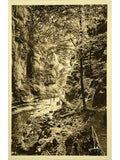 Recto de la carte postale
