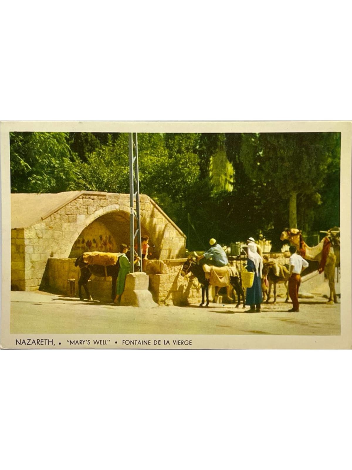 Recto de la carte postale