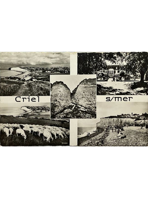 Criel-sur-Mer – Falaises, plage et Mesnil-Caux – CPSM multivues