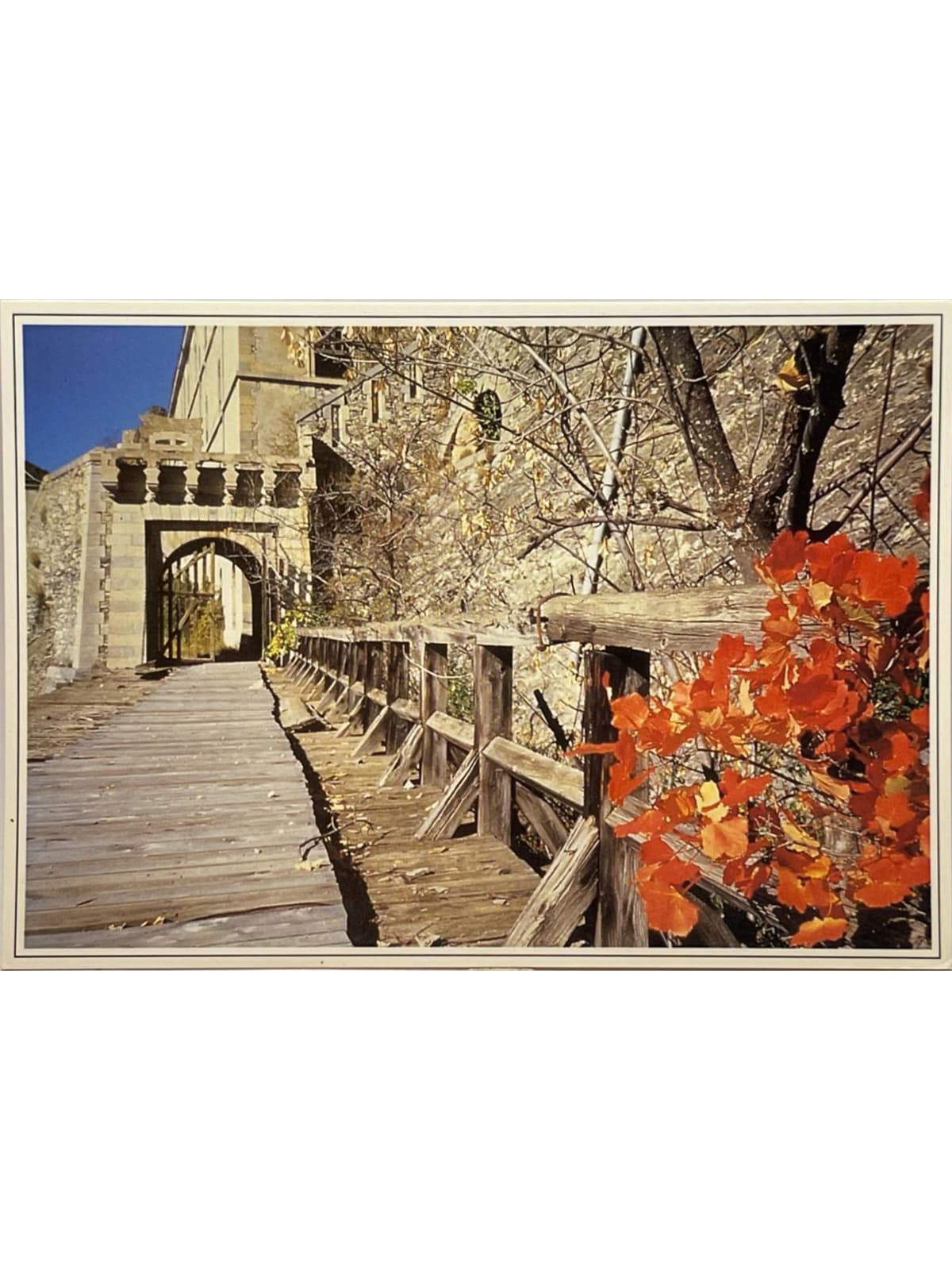 Recto de la carte postale