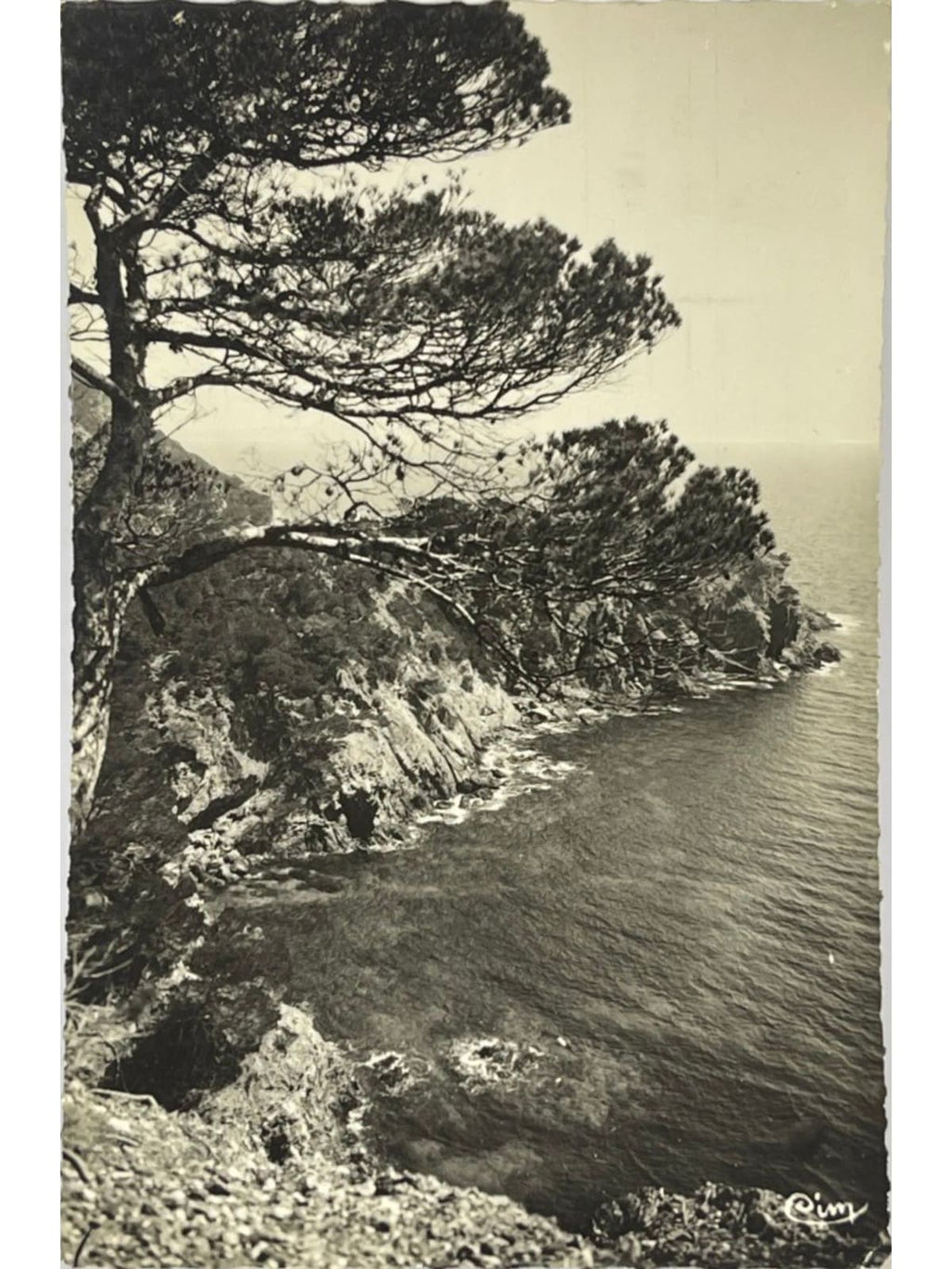 Recto de la carte postale