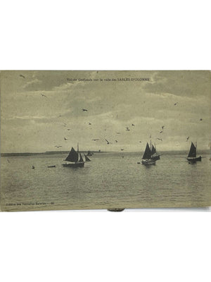 Les Sables-d'Olonne – Vol de goélands sur la rade et voiliers – CPA n° 28