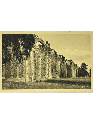 Maintenon – L'aqueduc – Eure-et-Loir – CPSM Combier