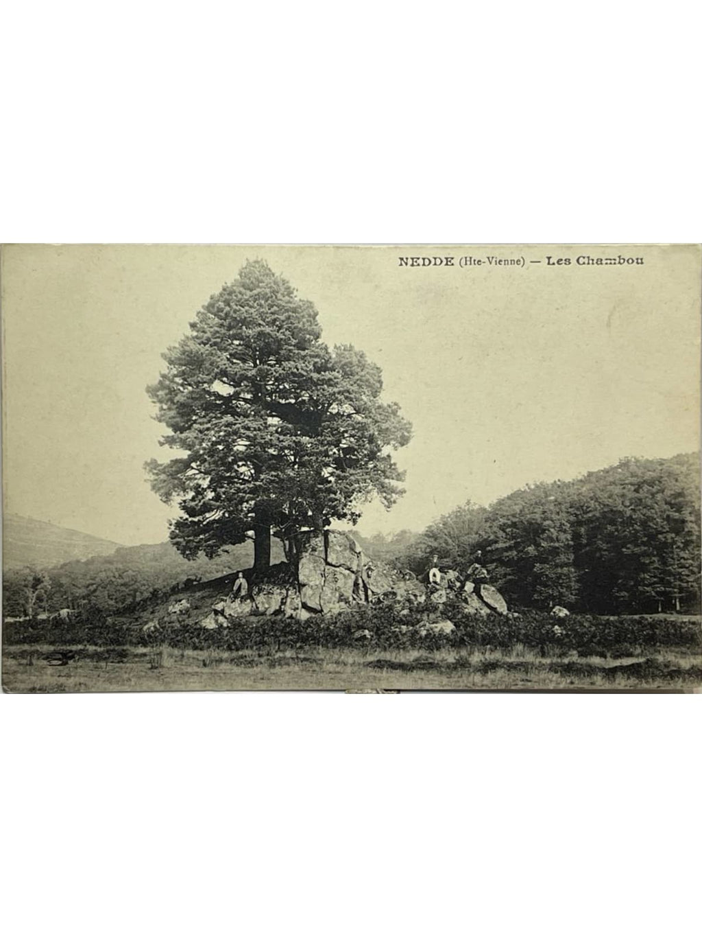 Recto de la carte postale