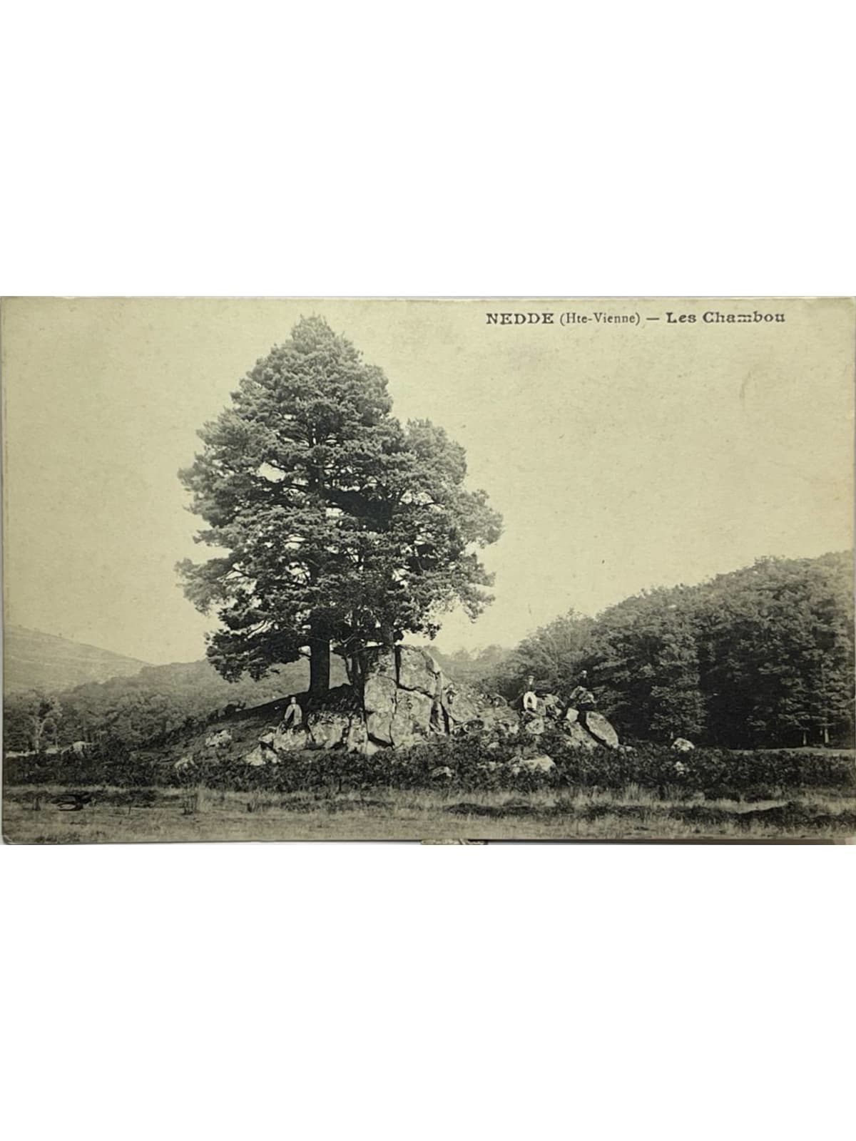 Recto de la carte postale
