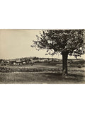 Recto de la carte postale