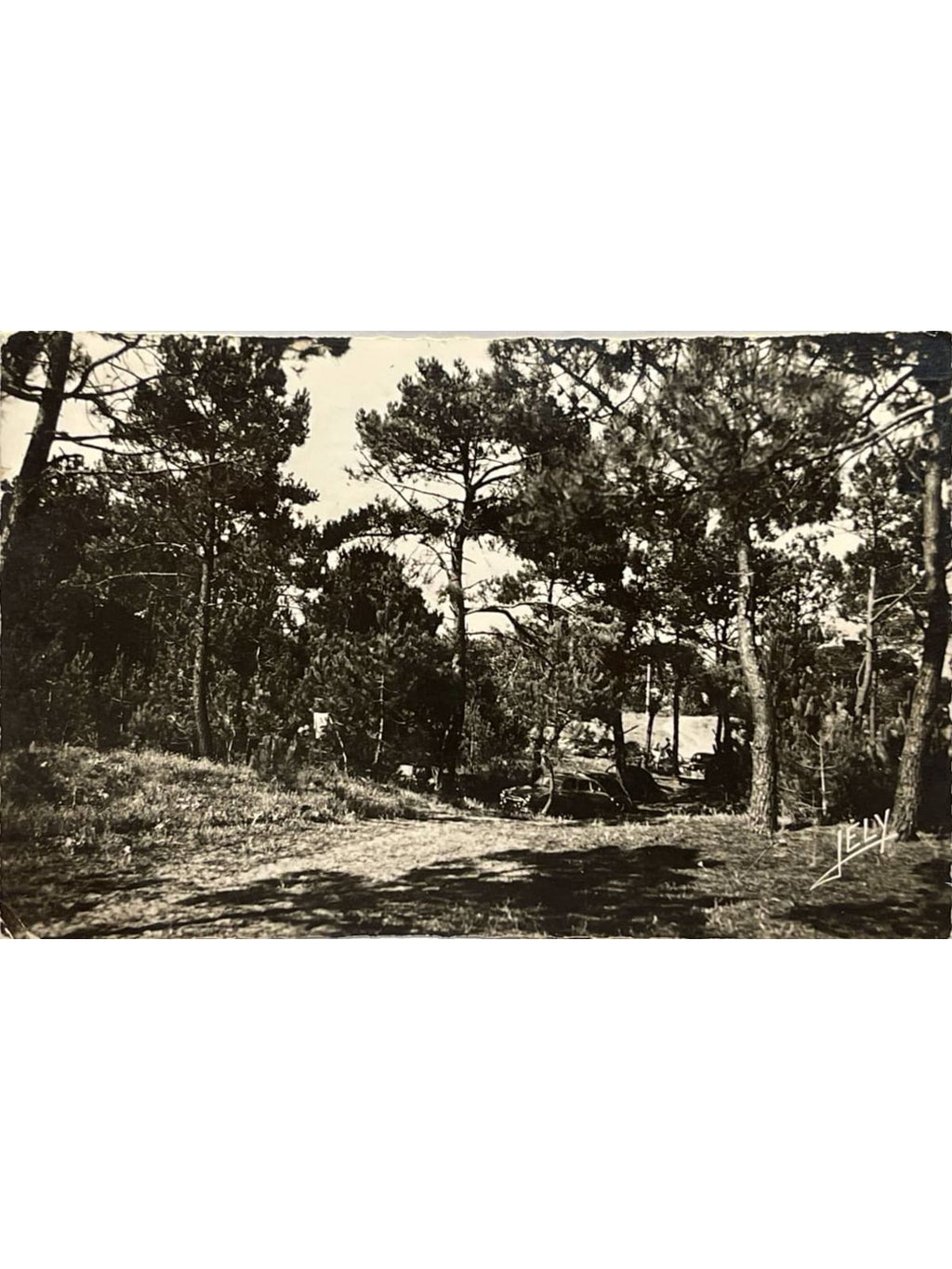 Recto de la carte postale