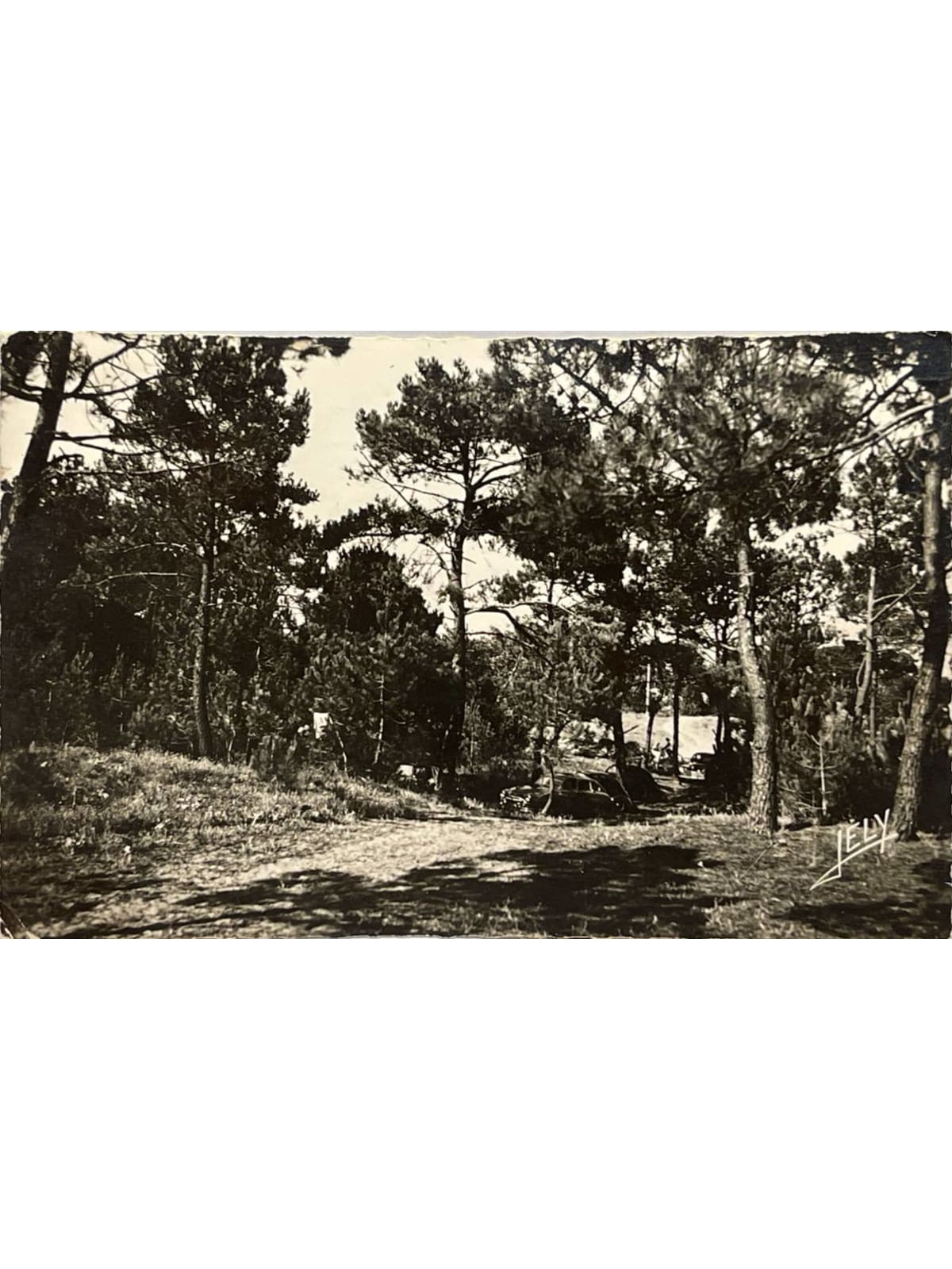 Recto de la carte postale