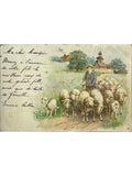 Recto de la carte postale