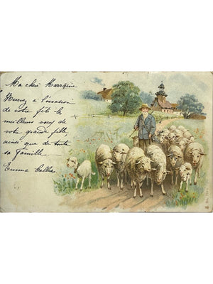 CPA illustrée – Berger et troupeau de moutons – Suisse, 1901