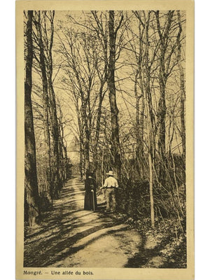 Villefranche-sur-Saône – Mongré, une allée du bois – CPA