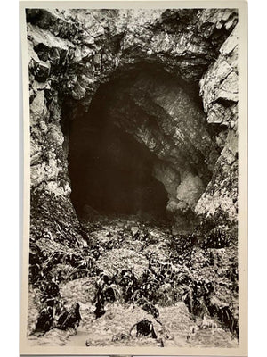 Morgat – Grotte de l’Autel à marée très basse – CPSM Finistère