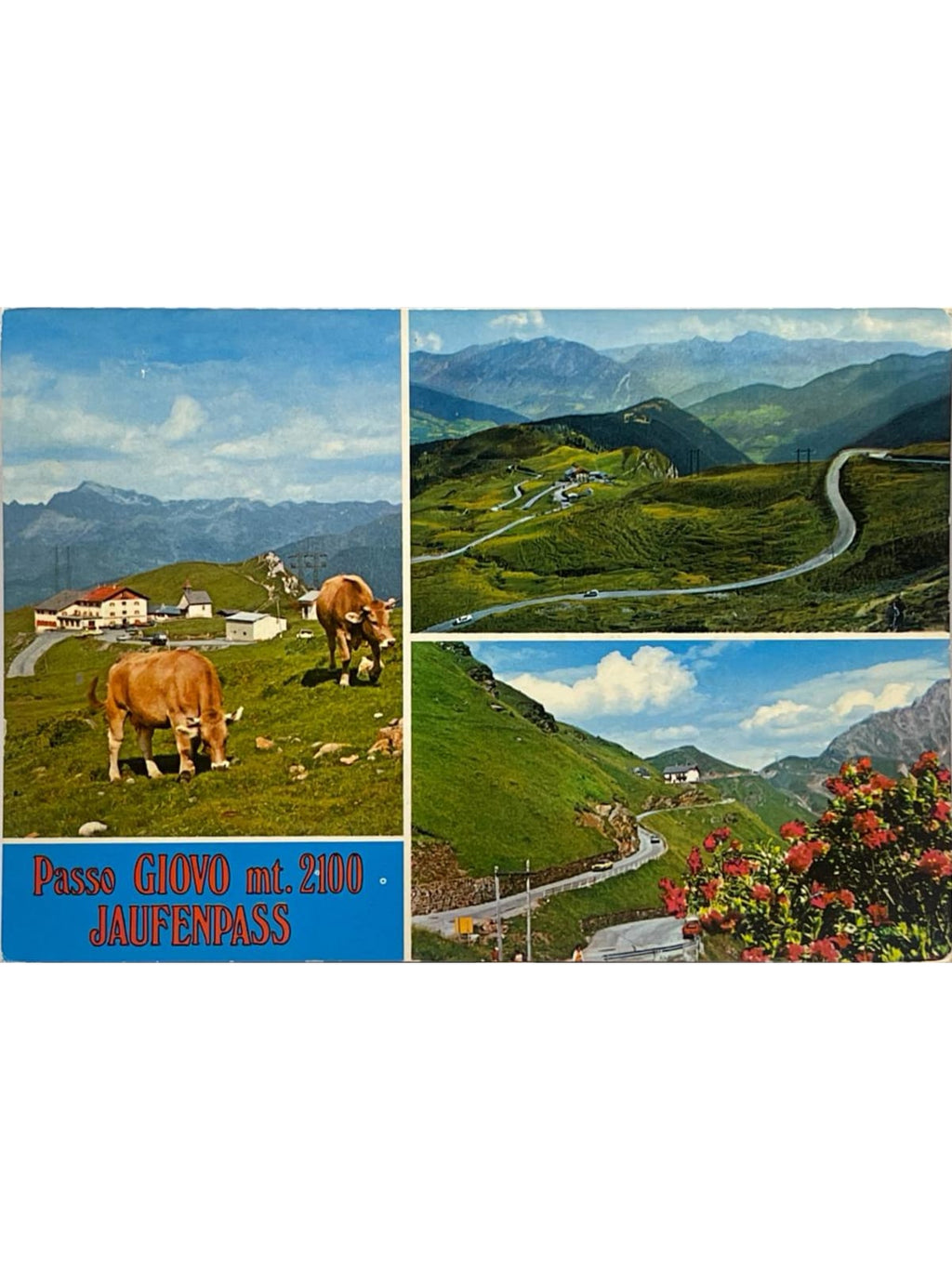 Recto de la carte postale