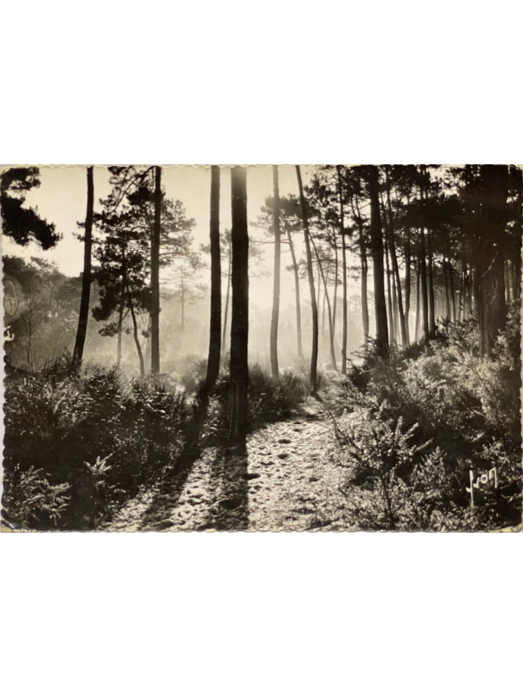 Recto de la carte postale