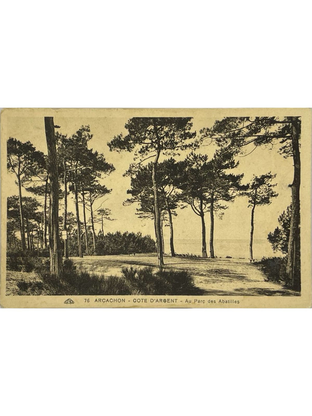 Recto de la carte postale