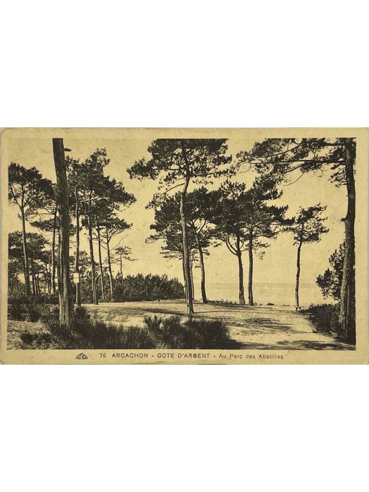 Recto de la carte postale