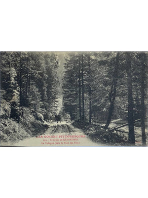 Gérardmer – La Vologne vers le Pont des Fées, attelage – CPA n° 259