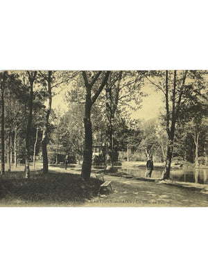 Martigny-les-Bains (Vosges) – Un coin du parc – CPA animée