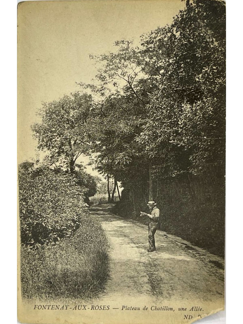 Recto de la carte postale