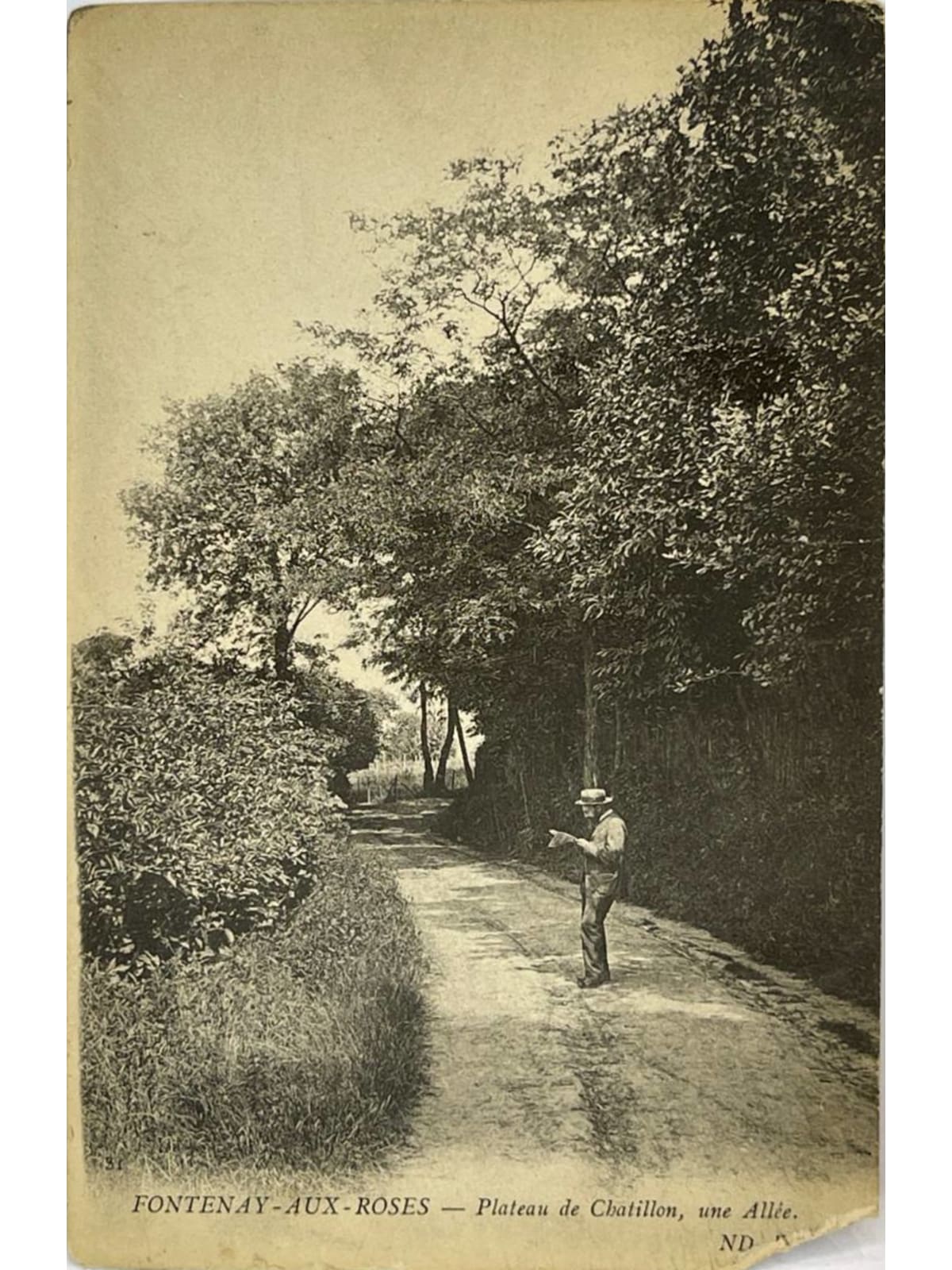 Recto de la carte postale