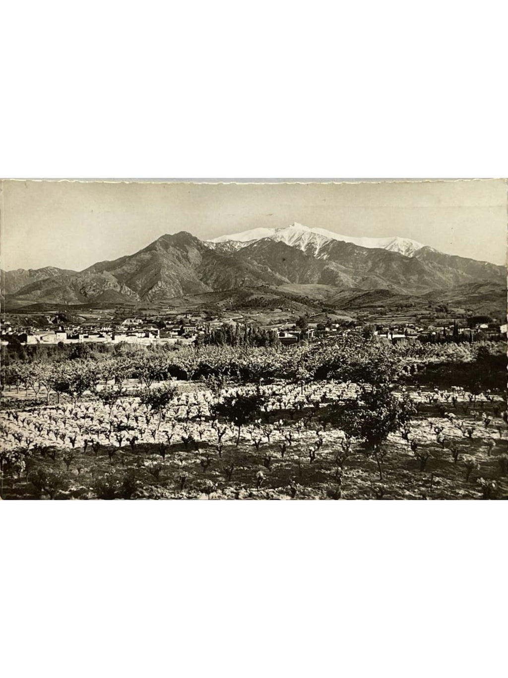 Recto de la carte postale