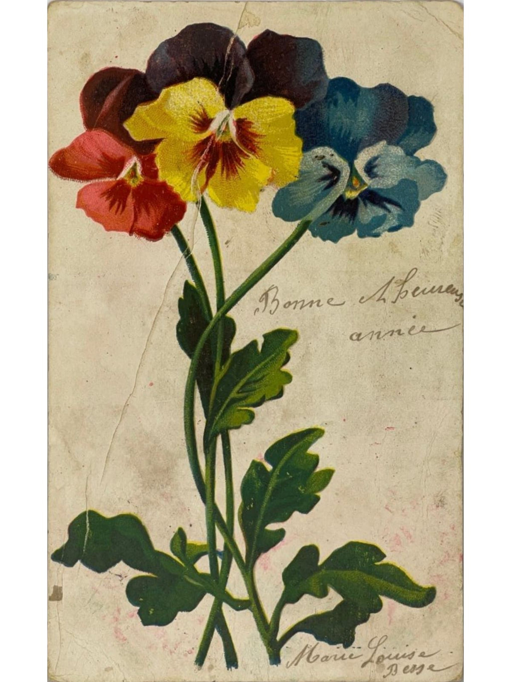Recto de la carte postale