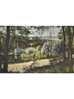 Sankt Wendel – Missionshaus dans un paysage boisé – CPA colorisée 1919