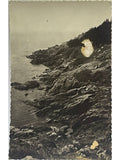 Recto de la carte postale