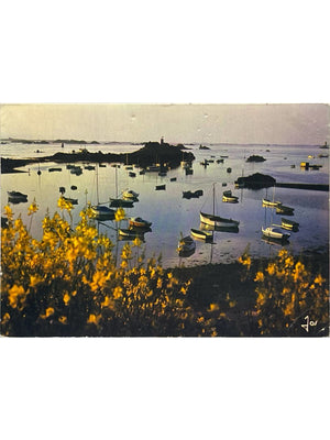 Loguivy-de-la-Mer – Printemps et bateaux dans l'anse – CPSM JOS