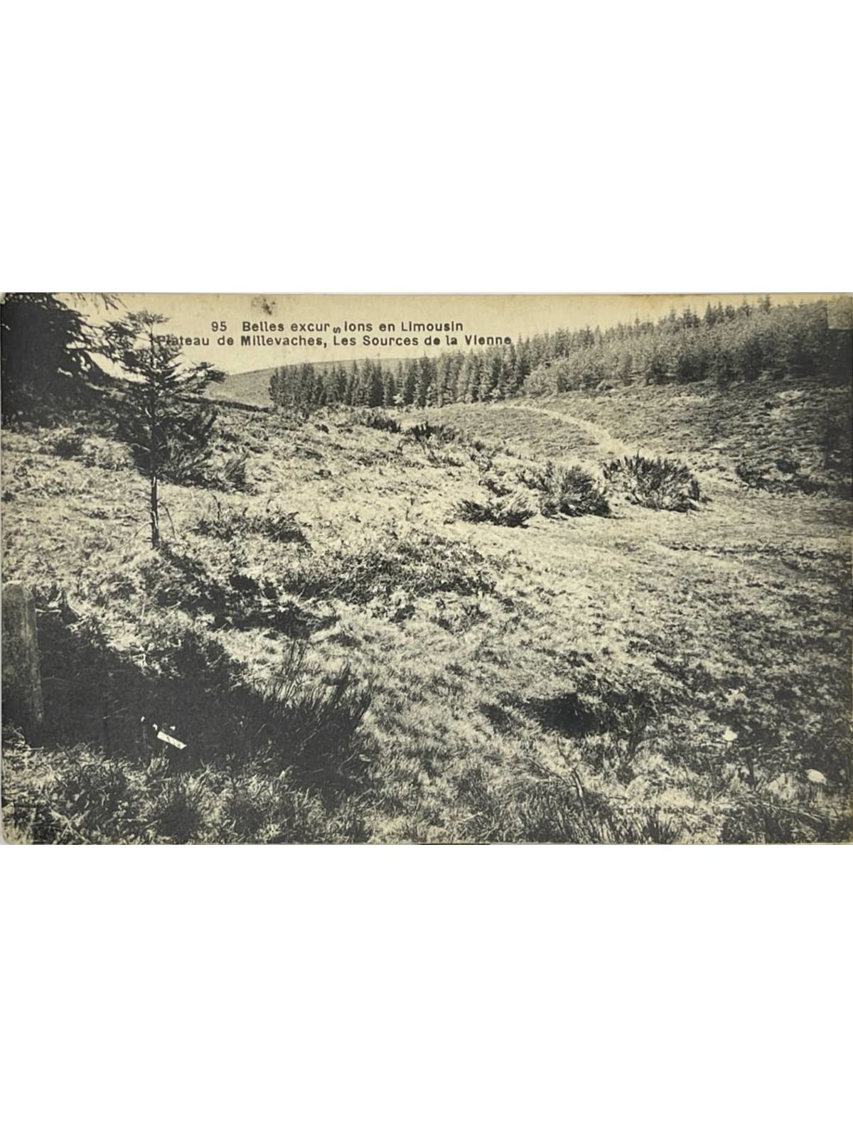 Recto de la carte postale