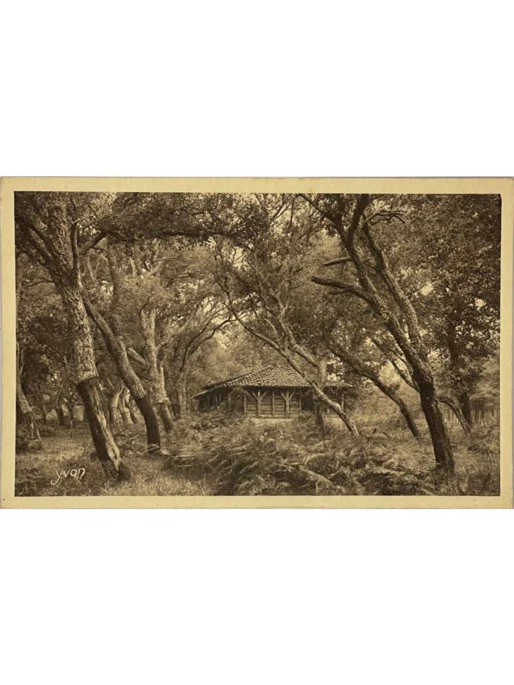 Recto de la carte postale