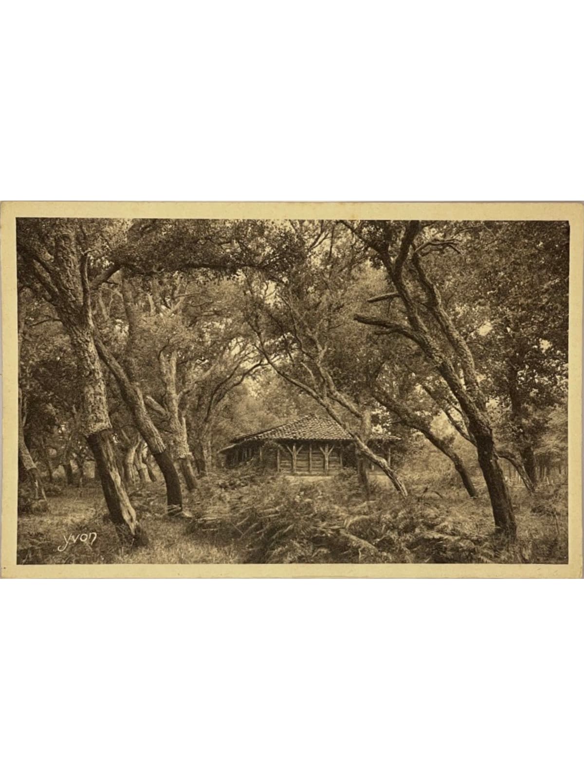 Recto de la carte postale