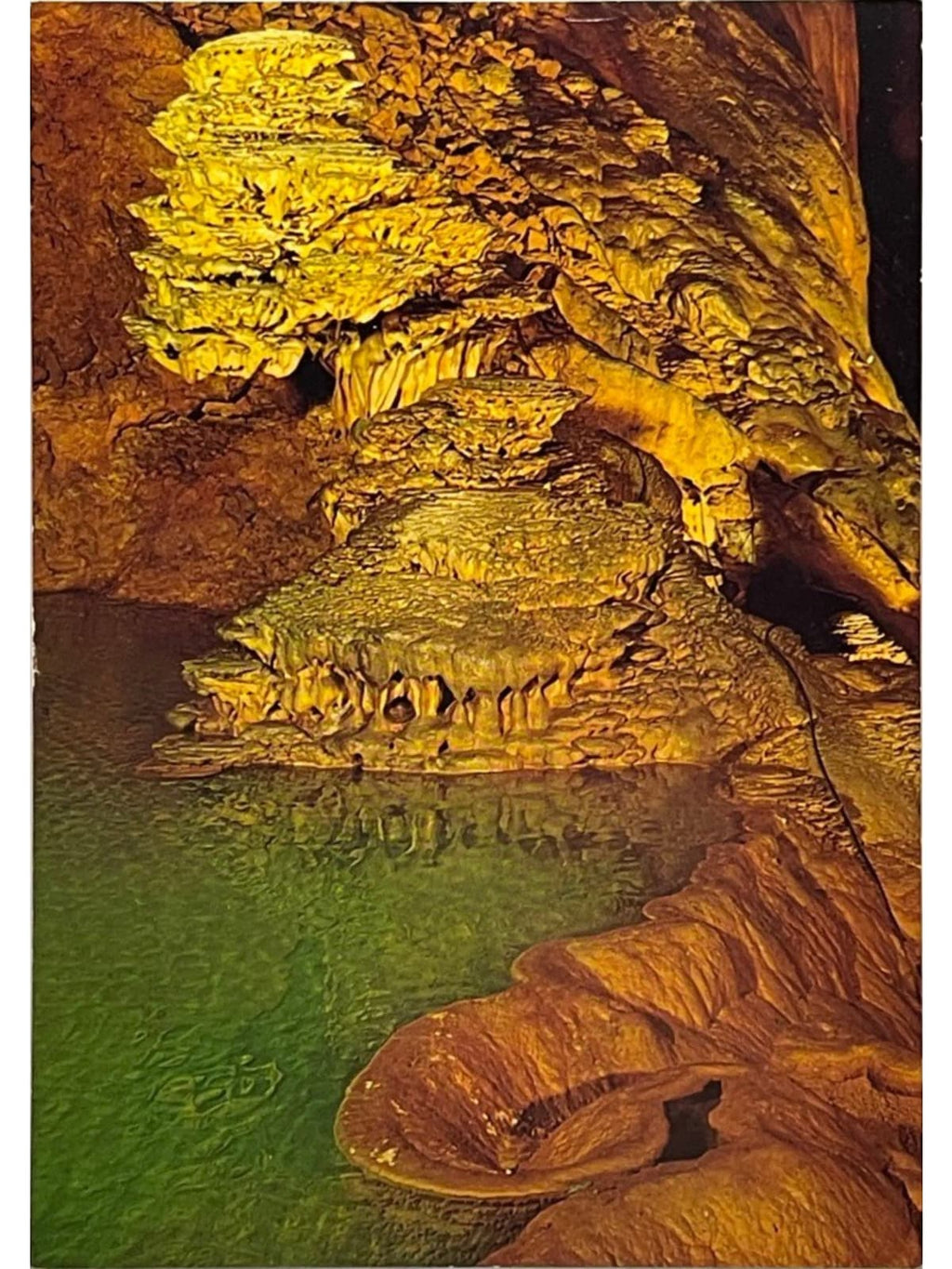 Recto de la carte postale