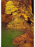 Recto de la carte postale