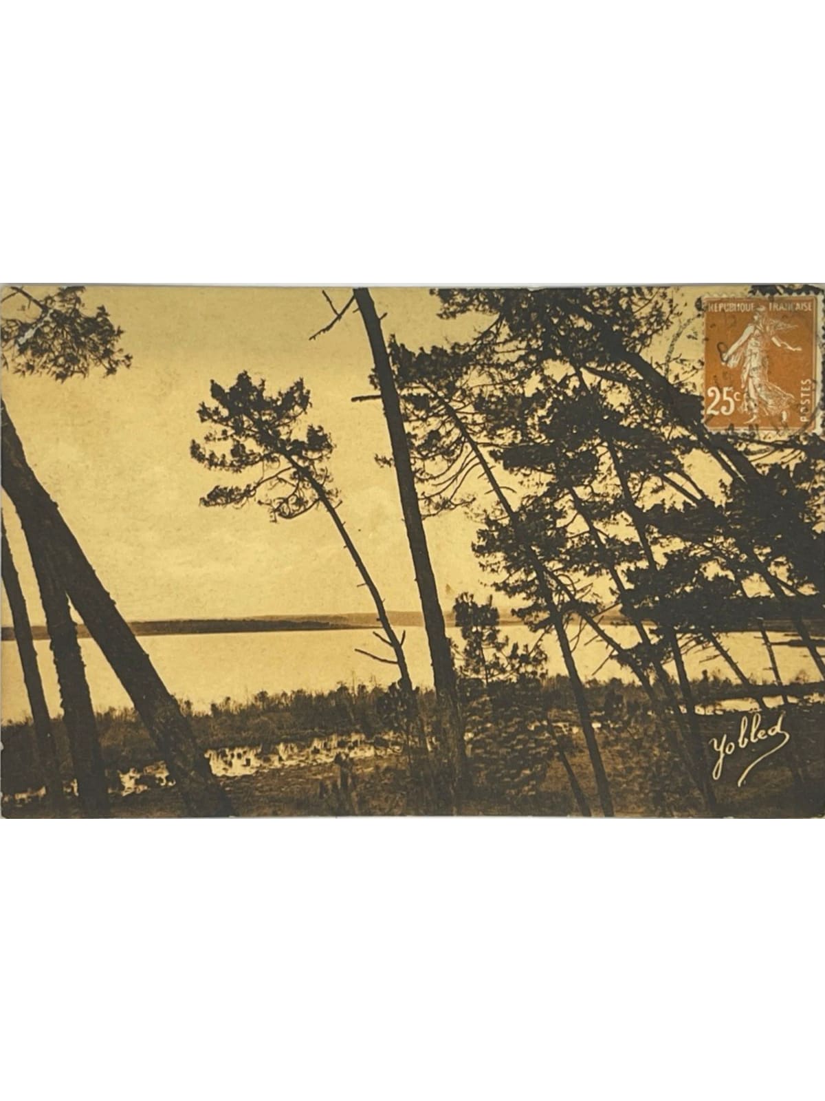 Recto de la carte postale