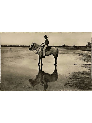 Saintes-Maries-de-la-Mer – Gardian à cheval en Camargue – CPSM 1955