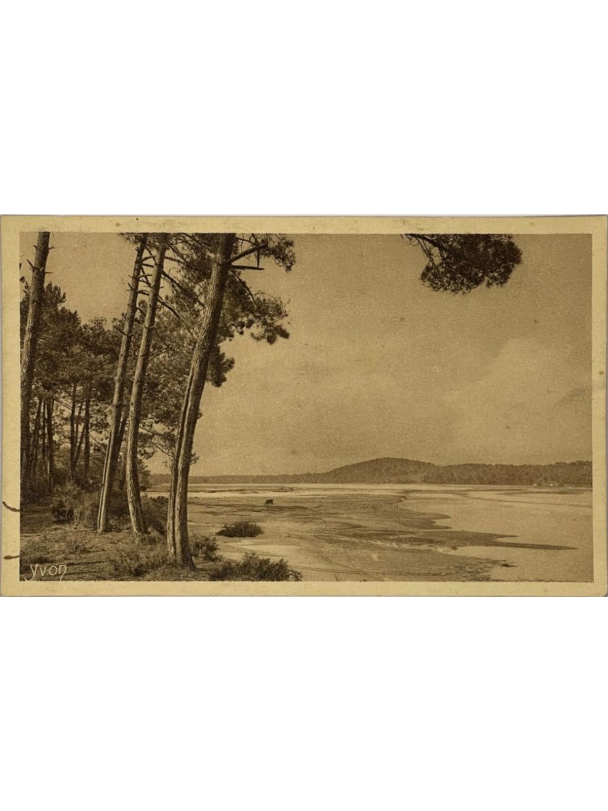 Recto de la carte postale