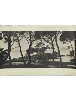 Carte postale – Paysage littoral sous les pins – Carte photo ancienne