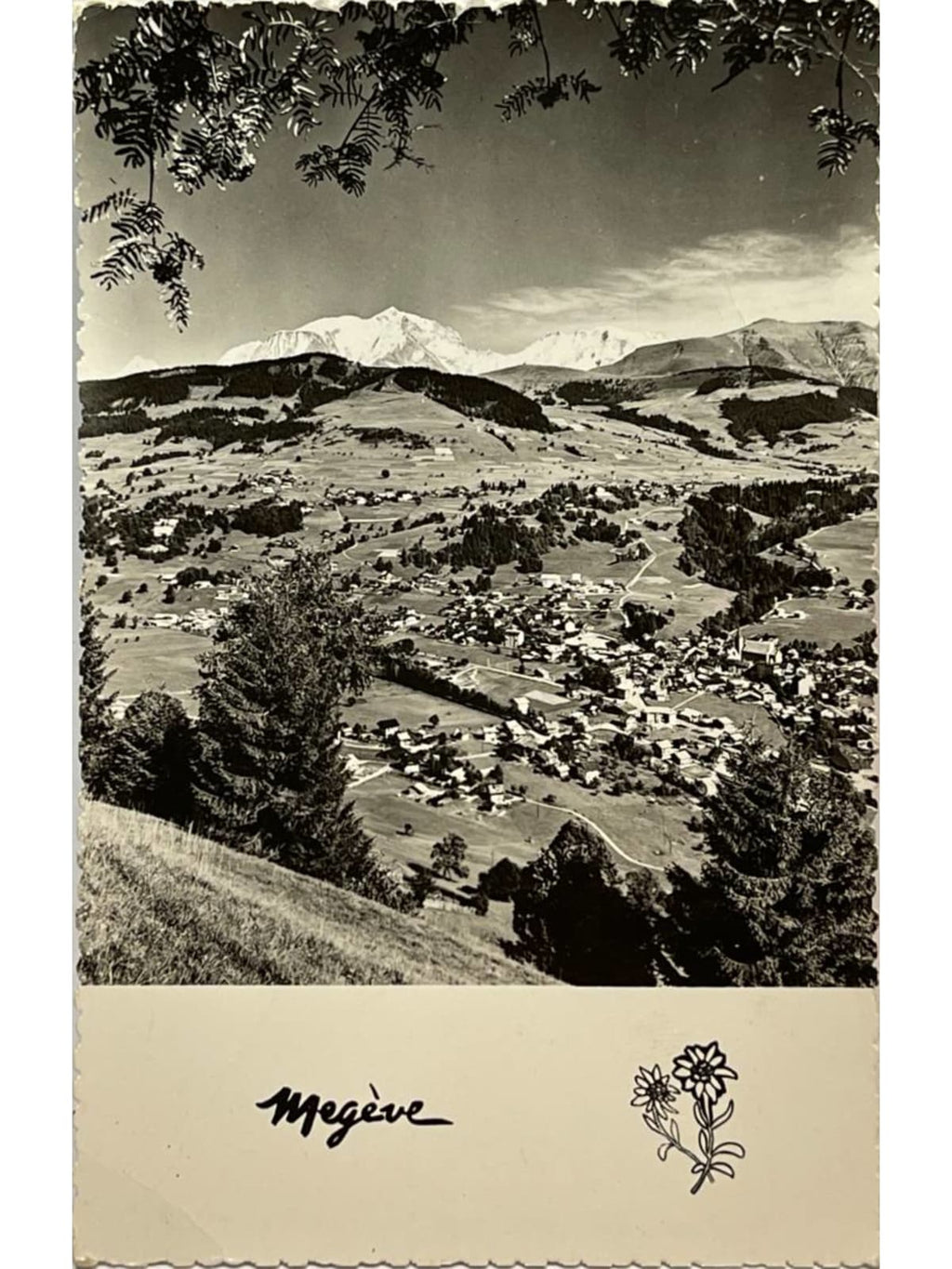 Recto de la carte postale