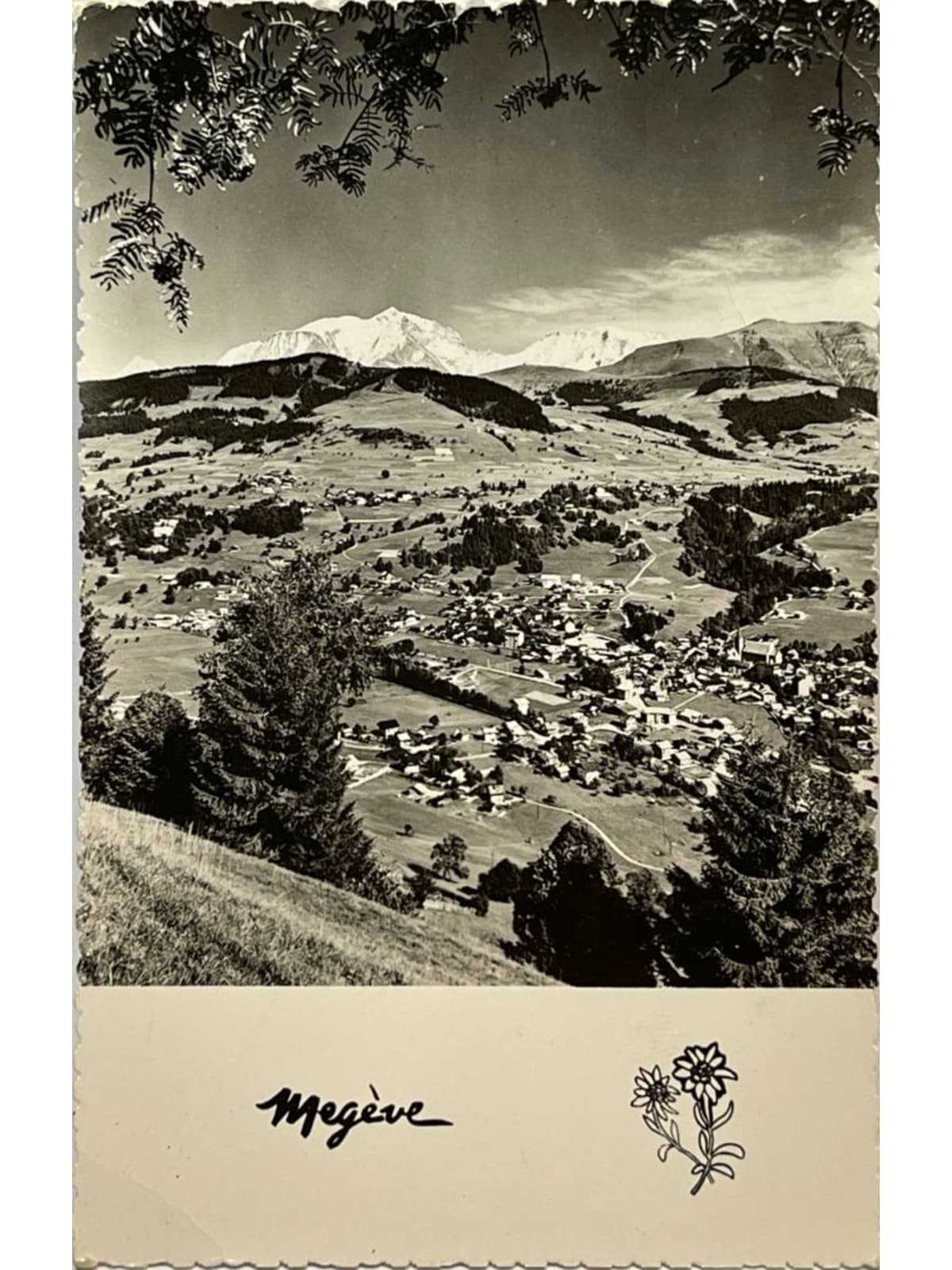 Recto de la carte postale